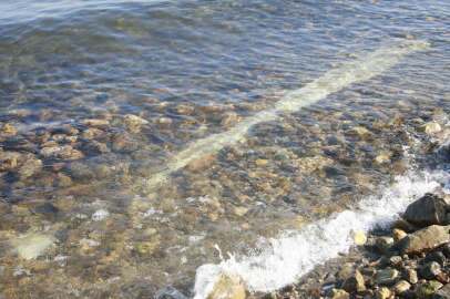 Bursa Gölyaka'da tarihi sütun heyecanı!
