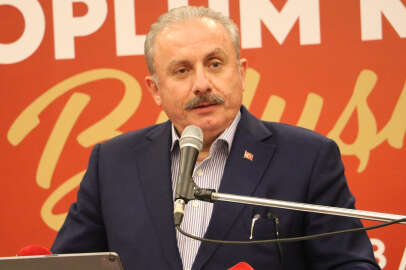 TBMM Başkanı Şentop'tan Prens Harry’ye: Sen kimsin!