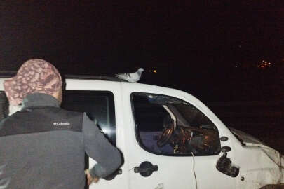 Takla atan araçtaki güvercin araç başından ayrılmadı!