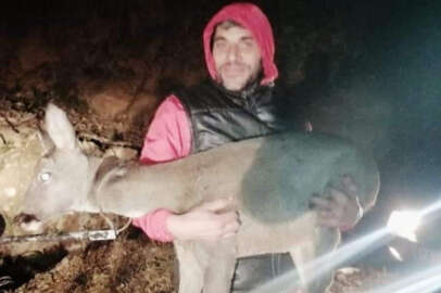 Trabzon'da 5 metre yükseklikten yola karaca düştü!