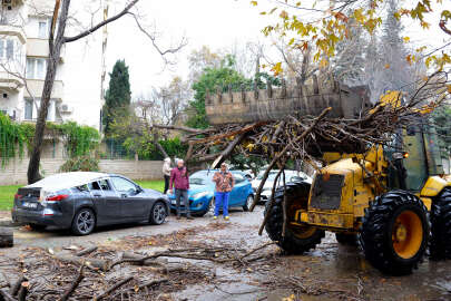 Devrilen ağaç lüks otomobili hurdaya çevirdi!