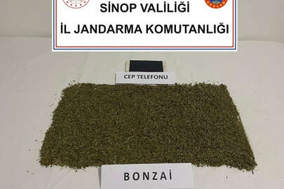 Sinop'ta bonzai operasyonu