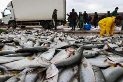 Yunanistan'dan AB'ye mektup: Türkiye'den balık almayın!