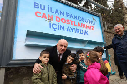 Bu reklam panoları can dostlara ait!