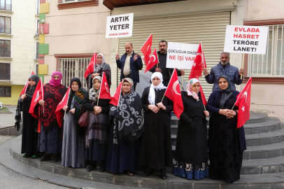 Diyarbakır anneleri bin 229 gündür evlatlarını bekliyor!