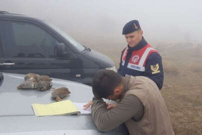 Koruma altındaki keklikleri vurdular, cezadan!..