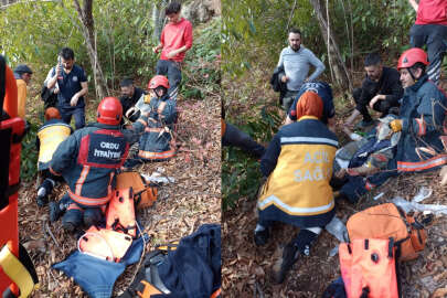 Kestikleri ağacın altında kaldılar!