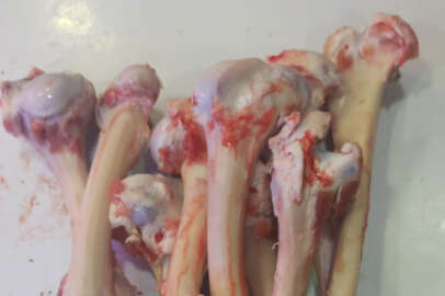 Kemik bile kıymete bindi!