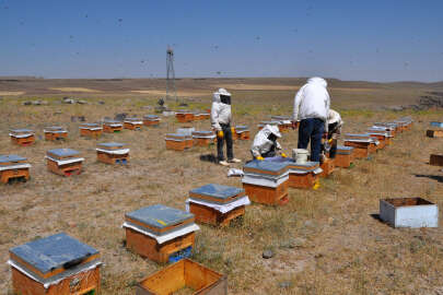 Bu işte bir terslik var: Kışın ortasında arılara yemleme!