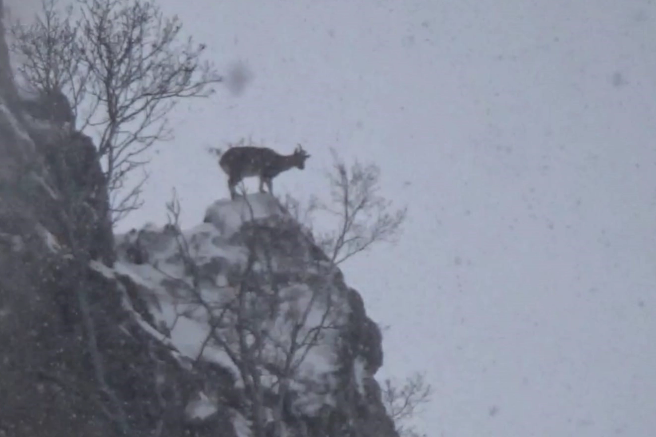 Pülümür Vadisi’nde kış bir başka güzel!