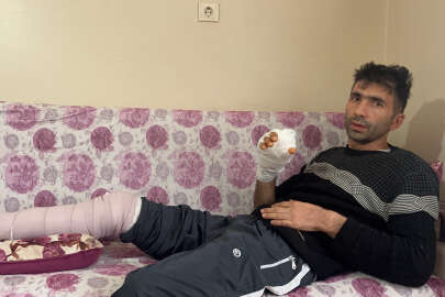 Komşusunun köpeği elini parçaladı!