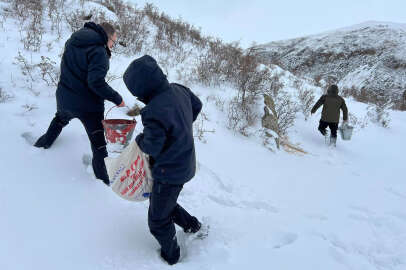 Yaban hayvanları için doğaya yem bıraktılar