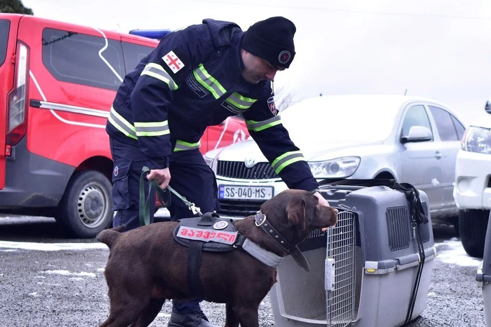 Dünya Türkiye'yi yalnız bırakmadı