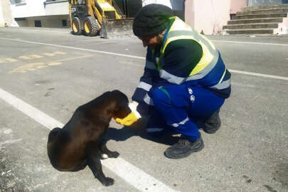 Nerede bir can varsa, Bursa orada
