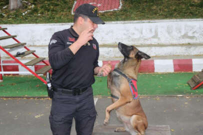 Jandarmanın hassas burnu "Şila" kanser kurbanı