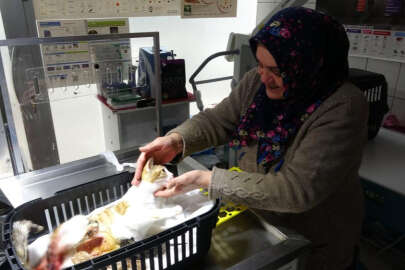 Depremden kurtulan kediye sezaryen!