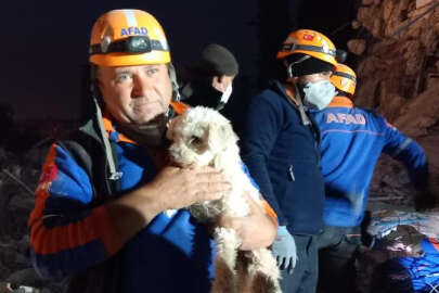 Hatay’da 25 gün sonra bir köpek enkazdan çıkarıldı