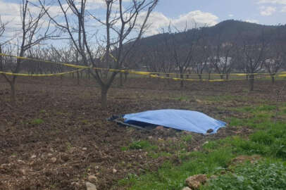 Tarlada erkek cesedi bulundu 