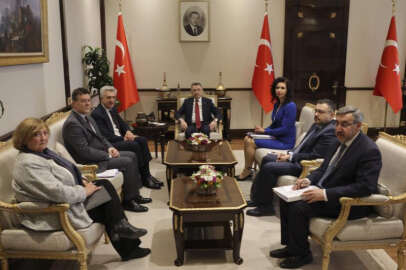 Cumhurbaşkanı Yardımcısı Oktay, BM Komiseri Grandi ile görüştü