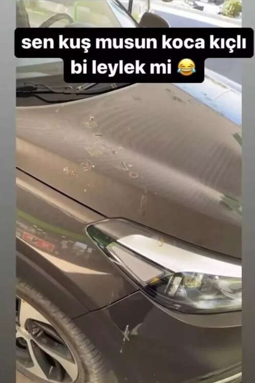 Leylek de bir kuş ama konu o değil.