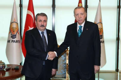 Erdoğan'la görüşen Destici: Kendi logo ve adaylarımızla...