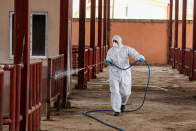 Şap hastalığına karşı ilaçlama