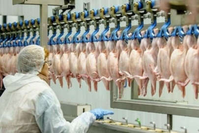 Ocak ayında beyaz et üretimi azaldı