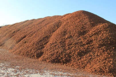 Kömür fiyatları arttı, çam fıstığı kabukları kıymete bindi