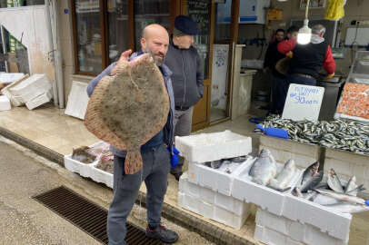 8 kiloluk kalkan balığı 5 bin liraya satıldı!