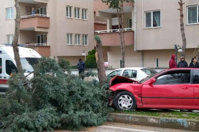 Bursa'da alkollü sürücü ağacı devirerek durabildi