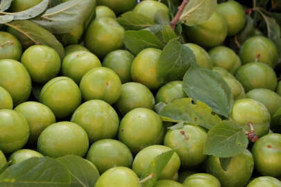 Altınla yarışıyor! Eriğin fiyatını görenleri şaşırttı!