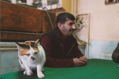 Bursa'da Gürsu'nun yaramaz 'Karahıdır'ı