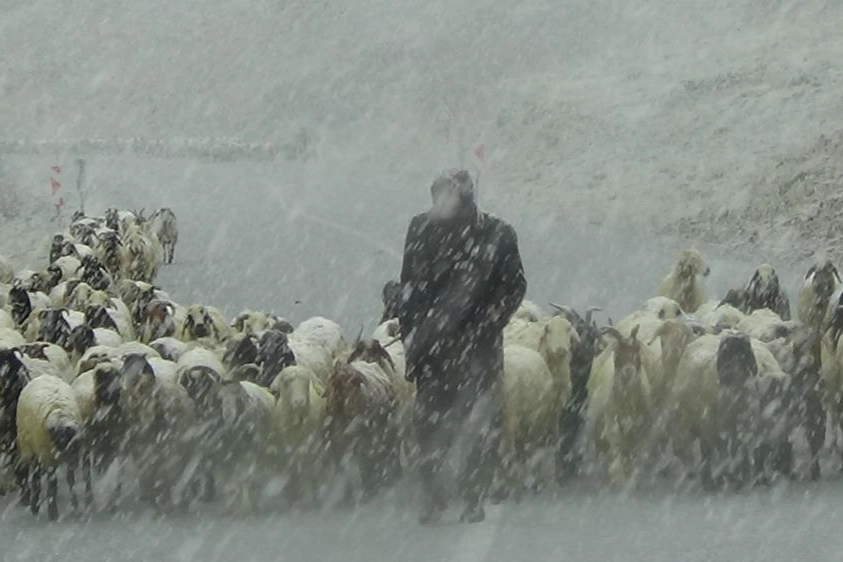 Van'ın yüksek kesimlerine kar yağdı, çobanlar zorlandı