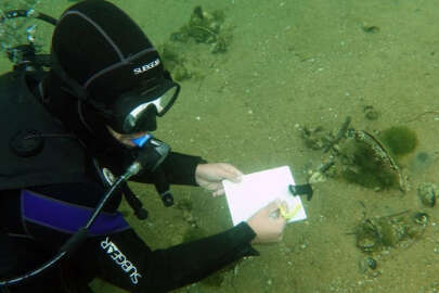 Marmara Denizi için yeni umudun adı: Pina   