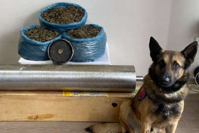 Yolcu otobüsündeki 15 kilo uyuşturucuyu "Asır" buldu!