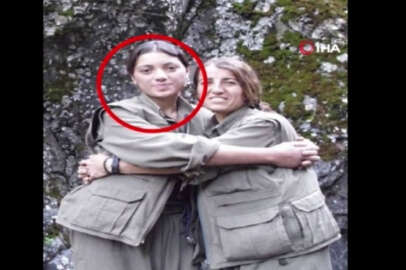 Yeşil Sol Parti Milletvekili Adayı Ayten Dönmez gözaltına alındı