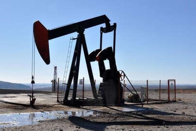 Bakan Muş: “Türkiye petrol tüketiminin yüzde 25’ini üretiyor"