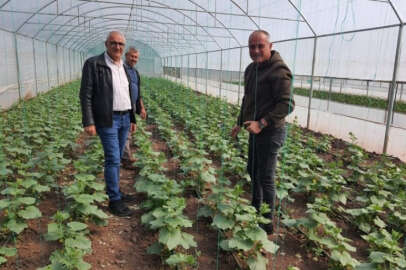 Bursa Gemlik Belediyesi'nde organik tarım çalışmaları