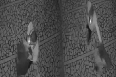 Genç kıza sokak ortasında şiddet! Önce tokatladı sonra yerlerde sürükledi