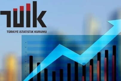 TÜİK'ten eleştirilere yanıt: "Verileri gizleme gibi bir girişimimiz yok"