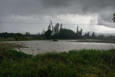 Sağanak ve dolu yağışı tarım arazilerini vurdu
