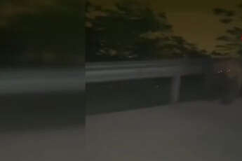 Bursa'da anayola inen ayı, otomobile saldırdı