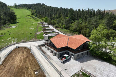 Bursa'da Demirtaş mesire alanı yaza hazırlanıyor