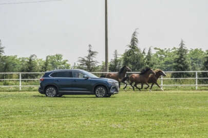 Togg Bursa'da şampiyon atlarla yarıştı