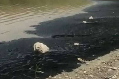 Bursa'da, Boğazköy Barajı'nın yüzeyi siyaha büründü