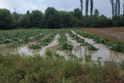 Bursa'da sağanak yağış tarım arazilerini vurdu