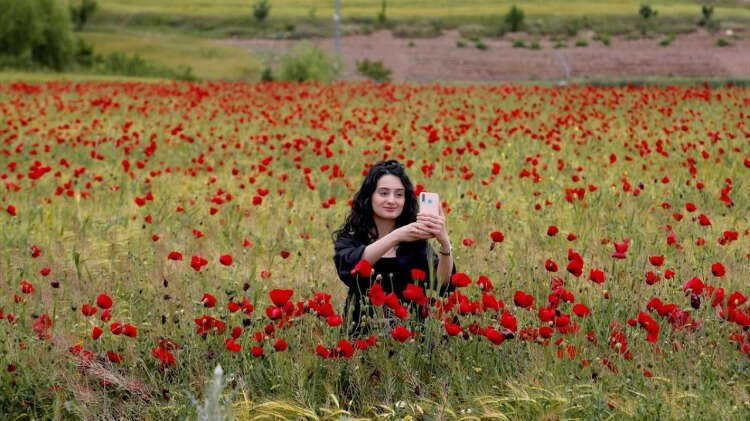 Doğaseverlerden Muhammed Yılmaz, gelinciklerin doğal rengiyle kendilerini adeta büyülediğini ifade ederek, "Her taraf kırmızı görünüyor. Güzel bir görüntü, durup fotoğraf çektirmek istedik. İnsanı şehir hayatının stresinden uzaklaştıran bir görüntü." dedi.