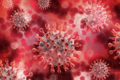 Çin'de maymun çiçeği virüsü nedeniyle 2 kişi karantinaya alındı