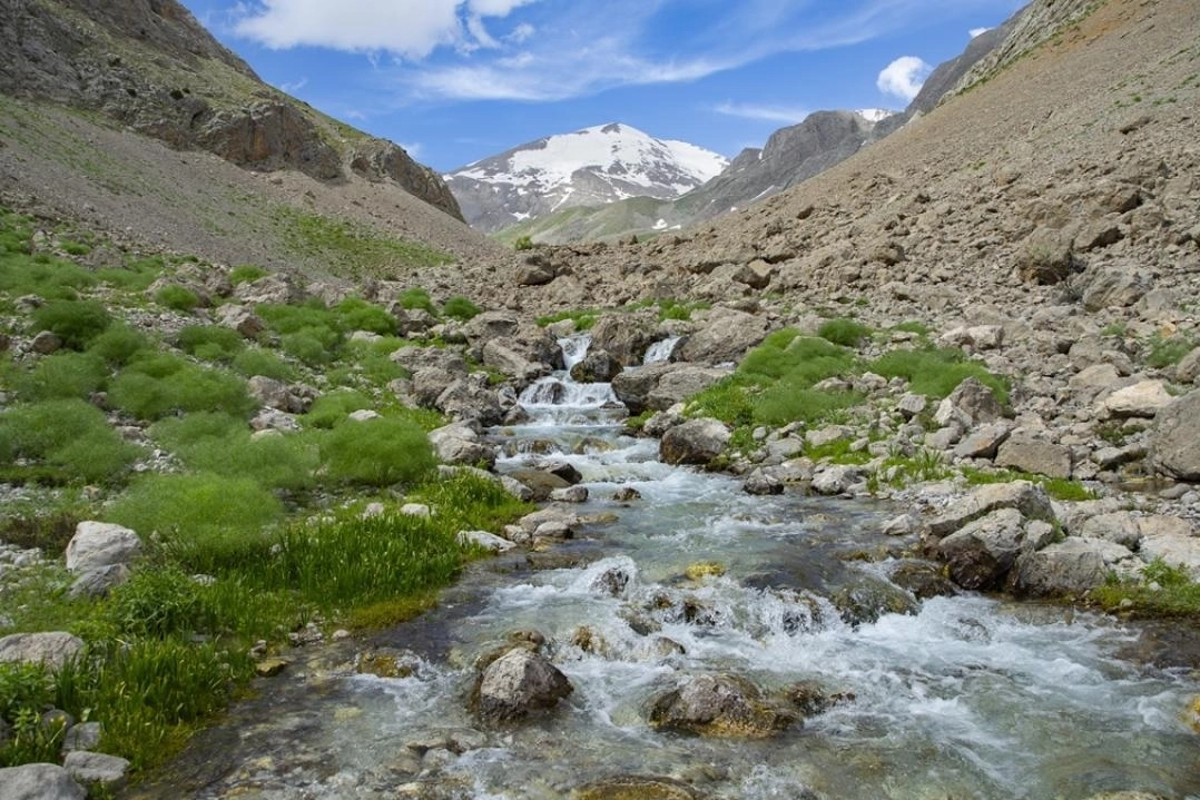 Tunceli’deki Goman Yaylası doğa tutkunlarını ağırlıyor
