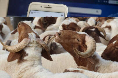 AFAD, deprem bölgesi için kurban bağışı kampanyası başlattı